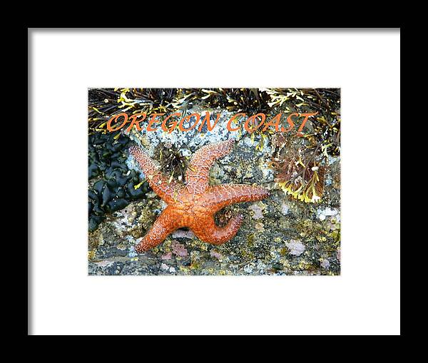 Starfish Framed Print featuring the photograph Running Starfish by Gallery Of Hope 