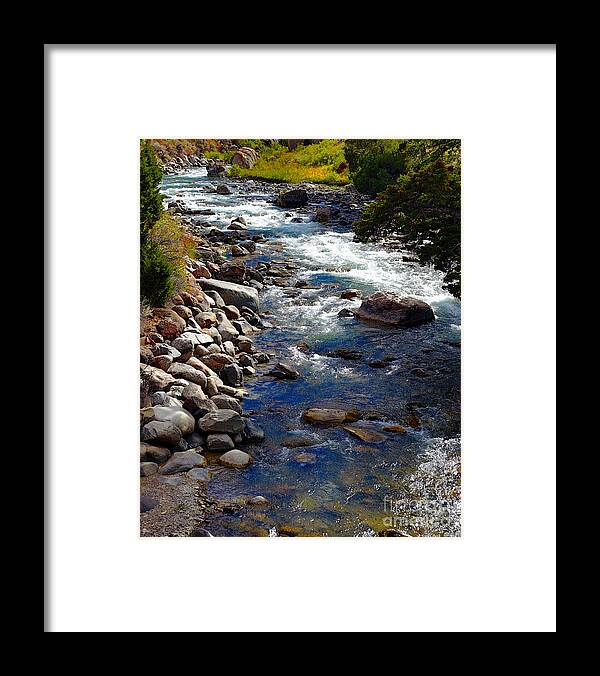 Creek Framed Print featuring the photograph Running Water by Robert Pearson