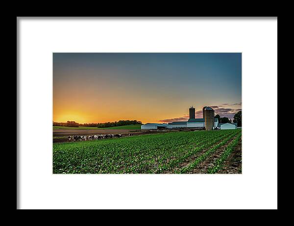 Wisconsin Dairy Farm Sunset Corn Silo Barn Cows Cattle Holsteins Landscape Scenic Blue Green Yellow Stoughton Madison Dane Wisconsin Mcfarland Framed Print featuring the photograph Rural Tranquility by Peter Herman
