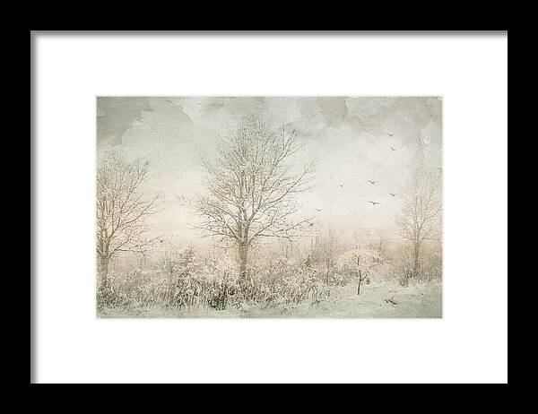 Landscape Framed Print featuring the photograph Rural Winter Landscape by Julie Palencia