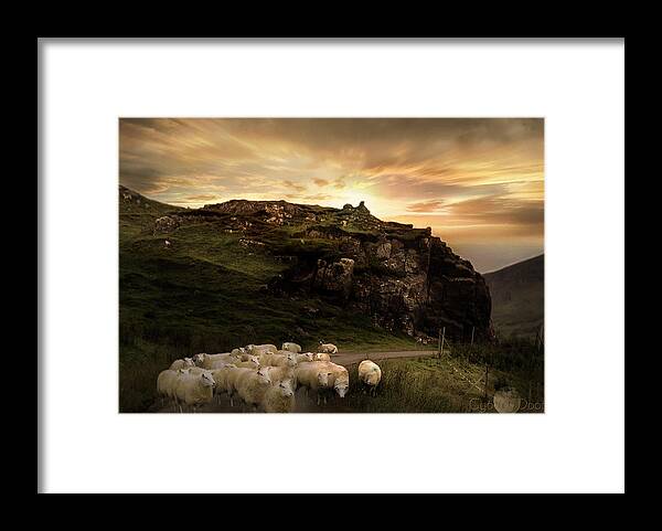  Framed Print featuring the photograph rush hour on the Isle of Skye by Cybele Moon