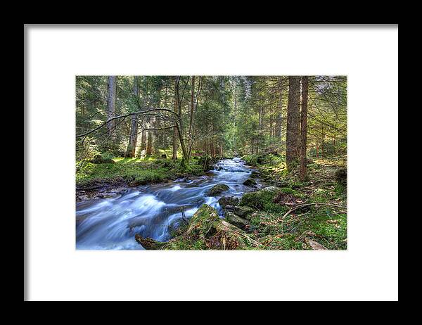 Mountain Framed Print featuring the photograph Rushing Stream by Sean Allen