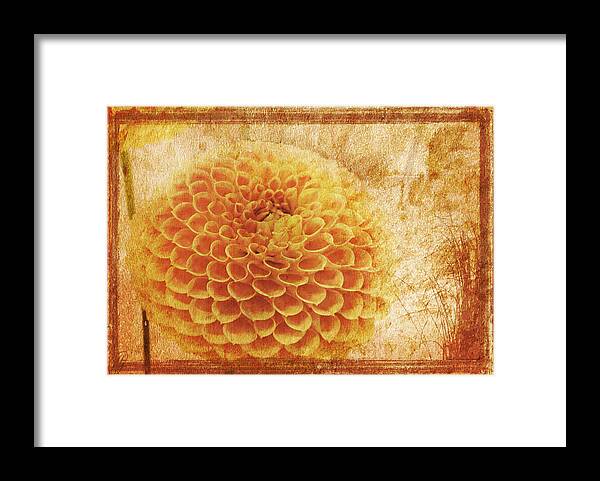 Rust Framed Print featuring the digital art Rusted by Margaret Hormann Bfa