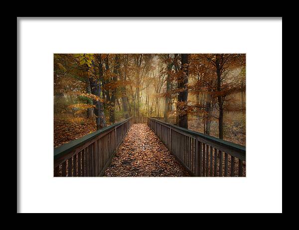 Boardwalk Framed Print featuring the photograph Rustic Woodland by Robin-Lee Vieira