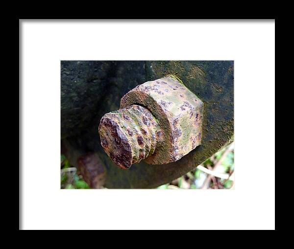 Screw Framed Print featuring the photograph Rusty screw by Lukasz Ryszka