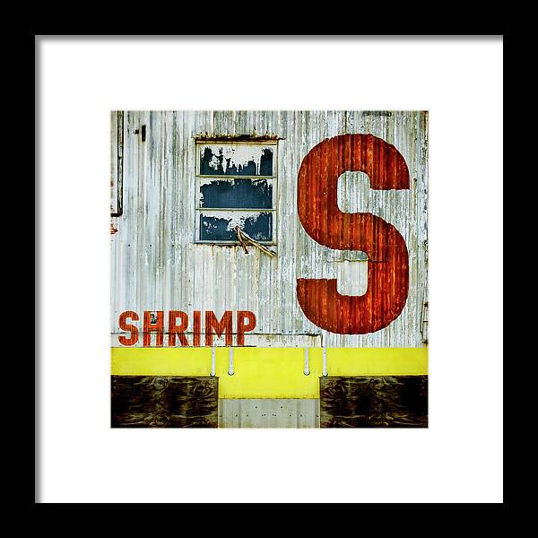 Shrimp Framed Print featuring the mixed media S is for Shrimp by Carol Leigh