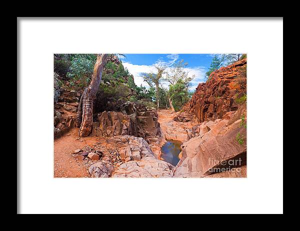 Sacred Canyon Flinders Ranges South Australia Australian Landscape Landscapes Outback Gum Trees Tree Water Erosion Framed Print featuring the photograph Sacred Canyon by Bill Robinson