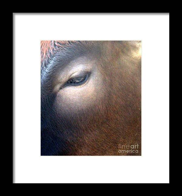 Sacred Cow Framed Print featuring the photograph Sacred Cow 5 by Randall Weidner