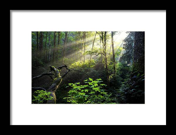 Light Framed Print featuring the photograph Sacred Light by Chad Dutson