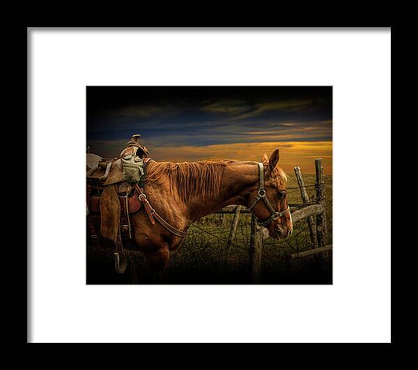 Saddle Framed Print featuring the photograph Saddle Horse on the Prairie by Randall Nyhof