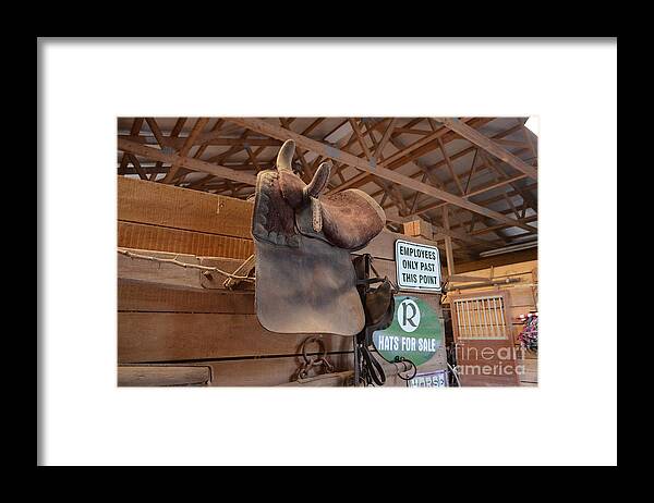 Horse Framed Print featuring the photograph Saddle Storage - Hanging in the Barn by Jason Freedman