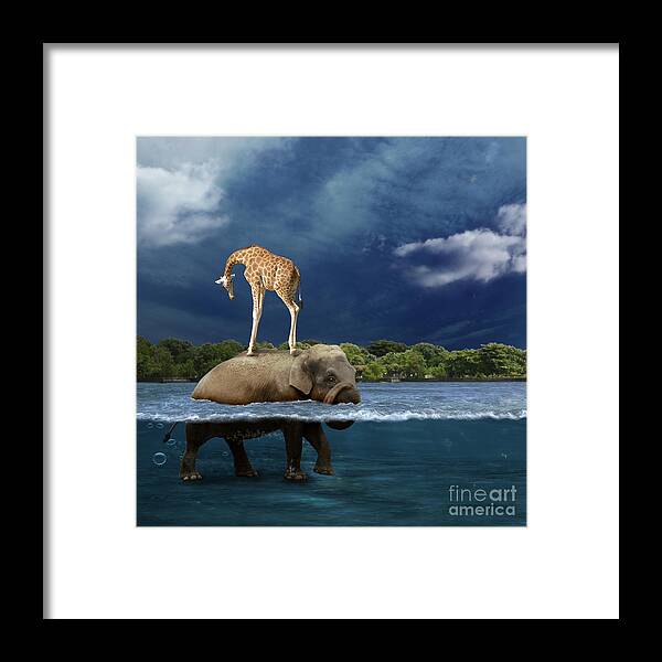 Girafe Framed Print featuring the photograph Safe by Martine Roch