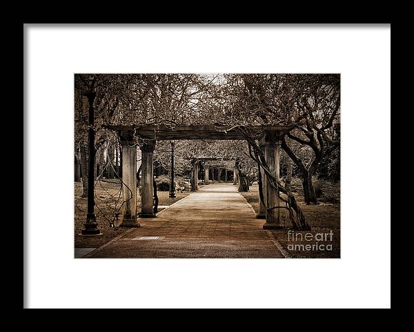 Passage Framed Print featuring the photograph Safe Passage by Onedayoneimage Photography