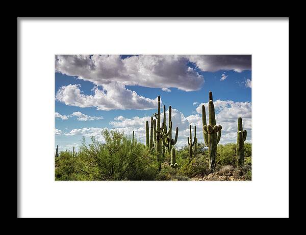 Arizona Framed Print featuring the photograph Saguaro and Blue Skies Ahead by Saija Lehtonen
