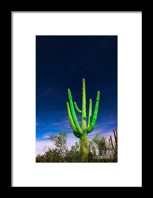 Arizona Framed Print featuring the photograph Saguaro Cactus Against Star Filled Sky by Bryan Mullennix