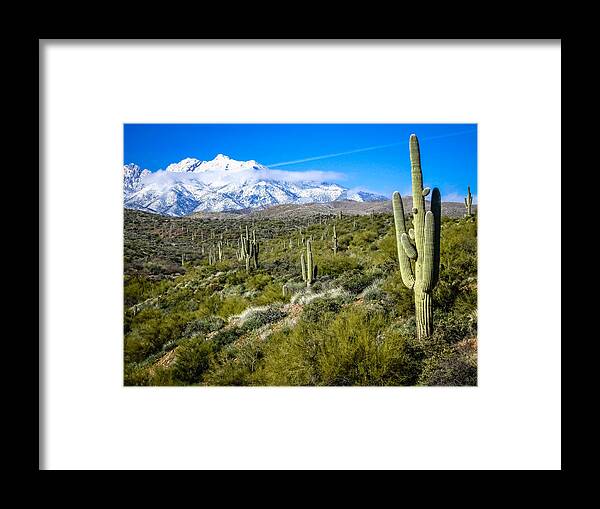 Arizona Framed Print featuring the photograph Saguaro Cactus in Arizona by Gregory Daley MPSA