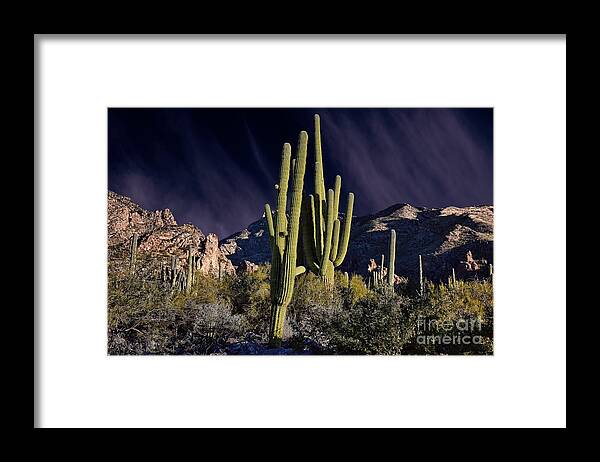 Saguaro Framed Print featuring the photograph Saguaro Dawn by Henry Kowalski
