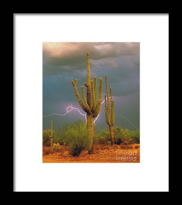 Saguaro Framed Print featuring the photograph Saguaro Lightning Arizona by Joanne West