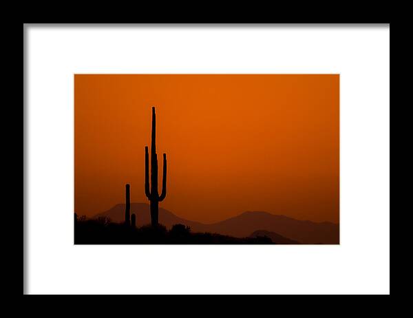Nature Framed Print featuring the photograph Saguaro Sunset by Jeff Phillippi
