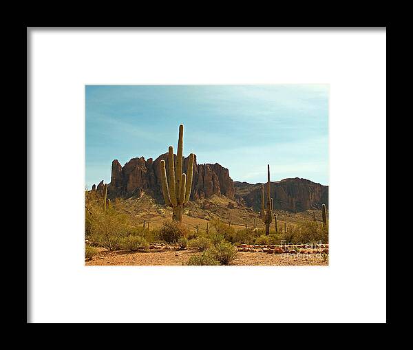 Wall Art Framed Print featuring the photograph Saguaros at Superstition Mountain by Kelly Holm