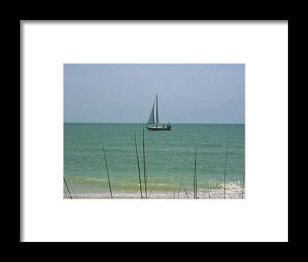 Boat Framed Print featuring the photograph Sailing in the Gulf by D Hackett