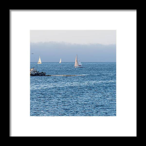 Sailing Framed Print featuring the photograph Sailing on the Bay by Derek Dean