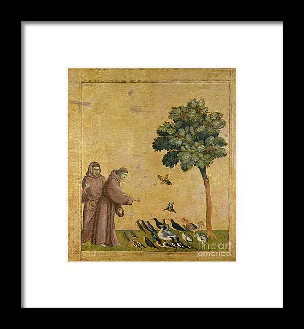 Francis Framed Print featuring the painting Saint Francis of Assisi preaching to the birds by Giotto di Bondone