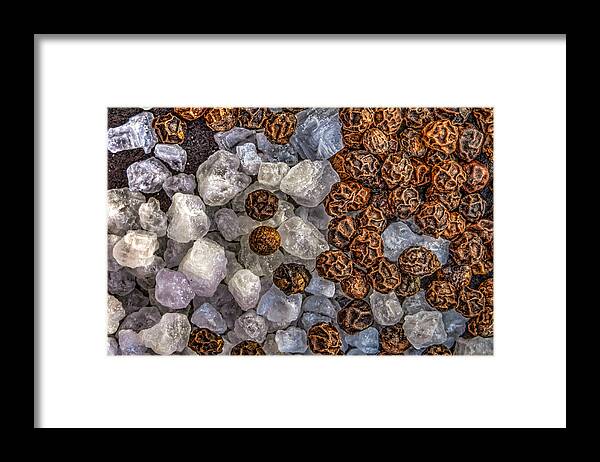 Arizona Framed Print featuring the photograph Salt and Pepper by Paul LeSage