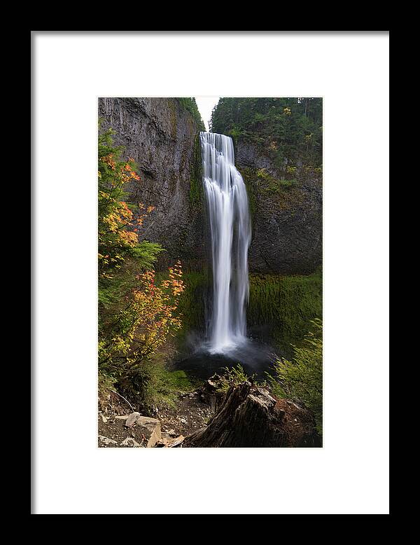 Pacific Northwest Framed Print featuring the photograph Salt Creek Falls by Brian Bonham
