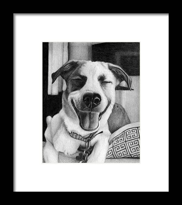 Dog Framed Print featuring the drawing Sam by Danielle R T Haney
