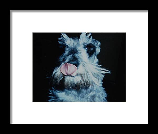 Dogs Framed Print featuring the photograph Sam The Fat Cow by Rob Hans