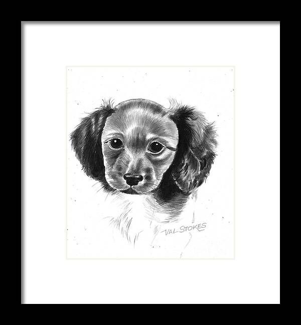 Puppy Framed Print featuring the painting Samantha by Val Stokes