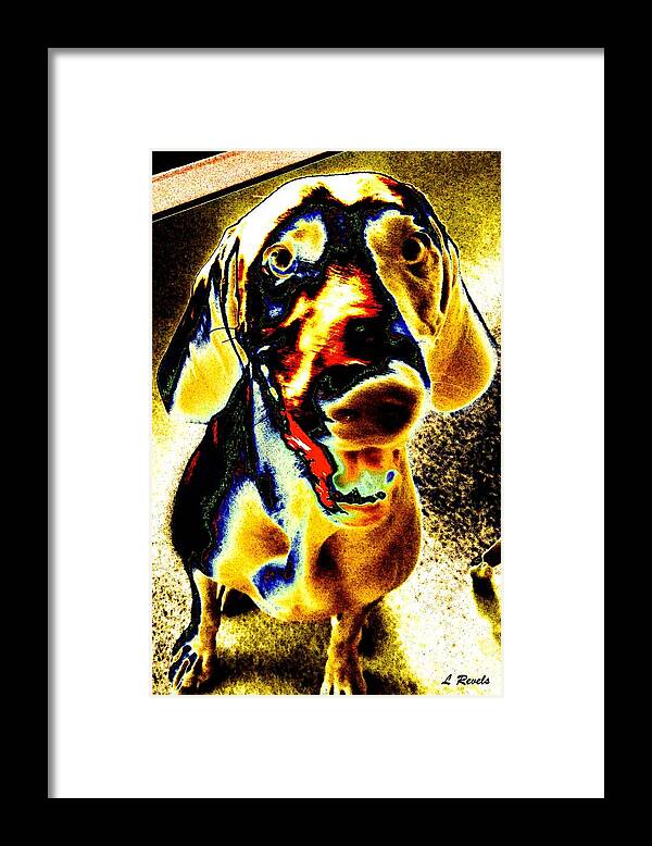 Dog Framed Print featuring the photograph Sampson Smiles by Leslie Revels