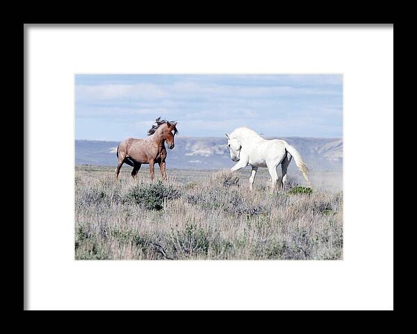 Stallion Framed Print featuring the photograph Sancho and Casper by WildHerdz