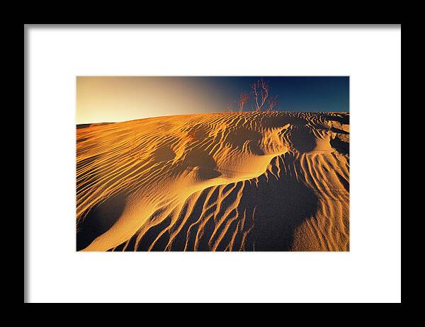 California Framed Print featuring the photograph Sand dune flux lines by William Lee