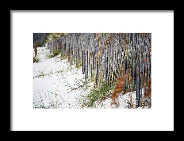 Beach Framed Print featuring the photograph Sand Fencing Preventing Beach Erosion Destin Florida by Shawn O'Brien