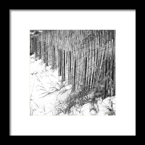 Beach Framed Print featuring the photograph Sand Fencing Preventing Beach Erosion Destin Florida Square Format Black and White by Shawn O'Brien