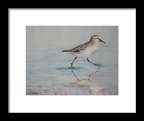 Bird Framed Print featuring the painting Sand Piper by Charlotte Yealey