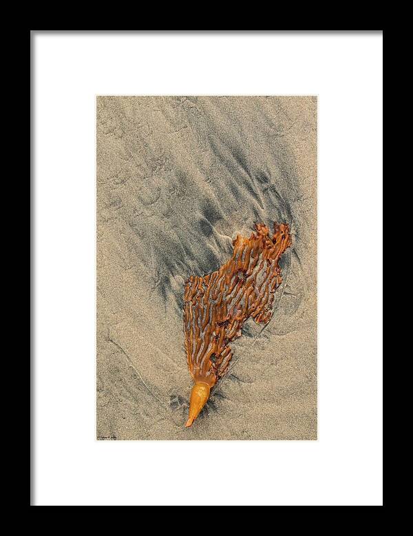 Beach Framed Print featuring the photograph Sand Spirituality -1 by Hany J