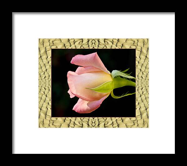 Nature Photos Framed Print featuring the photograph Sandflow Rose by Bell And Todd