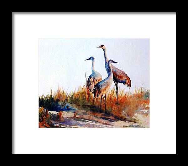 Sandhill Cranes Framed Print featuring the painting Sandhill Cranes by Brenda Beck Fisher