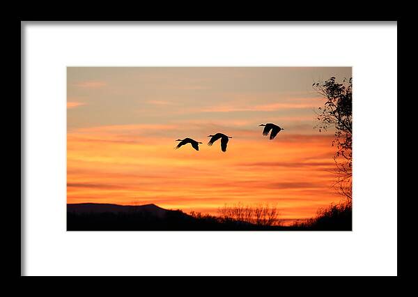 Sandhill Framed Print featuring the photograph Sandhill Sunrise 2 by Jean Clark
