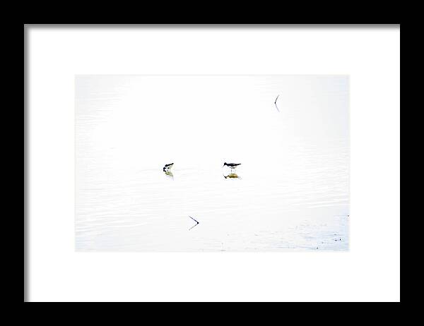 Sandpipers Framed Print featuring the photograph Sandpipers - Minimalism by Carol Senske