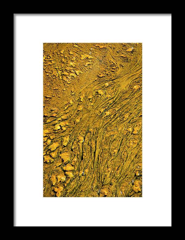 Wyoming Framed Print featuring the photograph Sands of Gold by Norman Reid