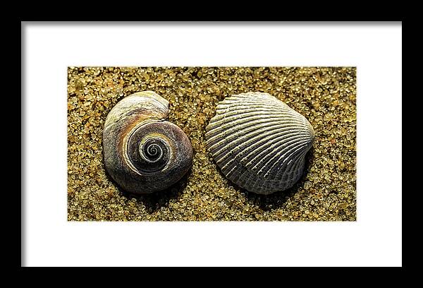 Atlantic Ocean Framed Print featuring the photograph Sandy Treasure by Jim Moore