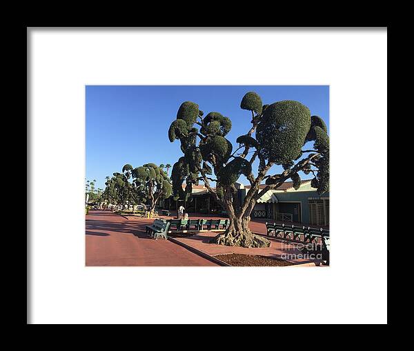 500 Views Framed Print featuring the photograph Arbortecture by Jenny Revitz Soper