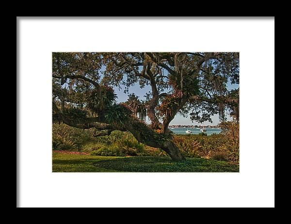 Garden Framed Print featuring the photograph Sarasota Bay View by Mitch Spence