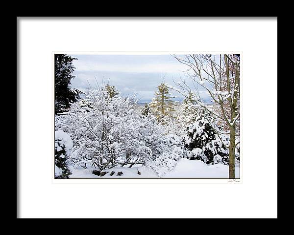 Lise Winne Framed Print featuring the photograph Saratoga Winter Scene by Lise Winne