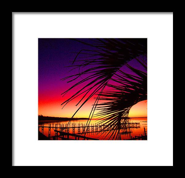 Sun Framed Print featuring the photograph Saturated Sunrise by Nicole I Hamilton