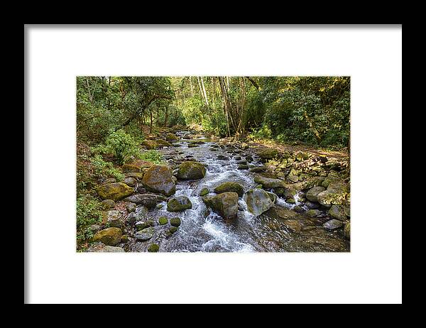 Savegre River Framed Print featuring the photograph Savegre River - Costa Rica by Kathy Adams Clark